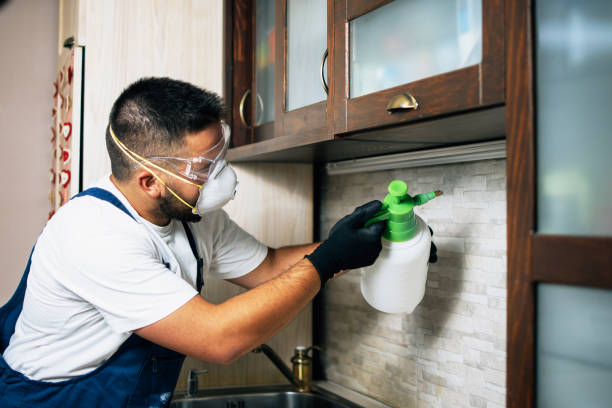 Best Best Pest Control Companies  in Algonquin, IL
