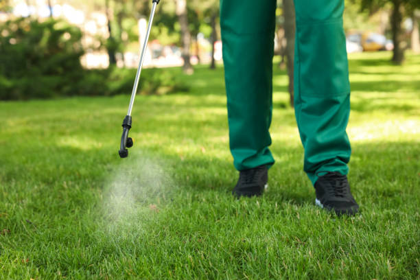 Best Rodent Control Near Me  in Algonquin, IL
