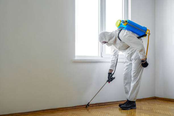 Best Emergency Pest Control  in Algonquin, IL