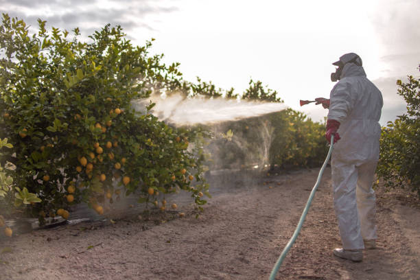 Best Affordable Pest Control Services  in Algonquin, IL
