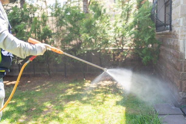 Best Cockroach Control Services  in Algonquin, IL